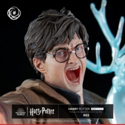 Statue Résine Harry Potter Ikigai  1/6 30cm By Tsume